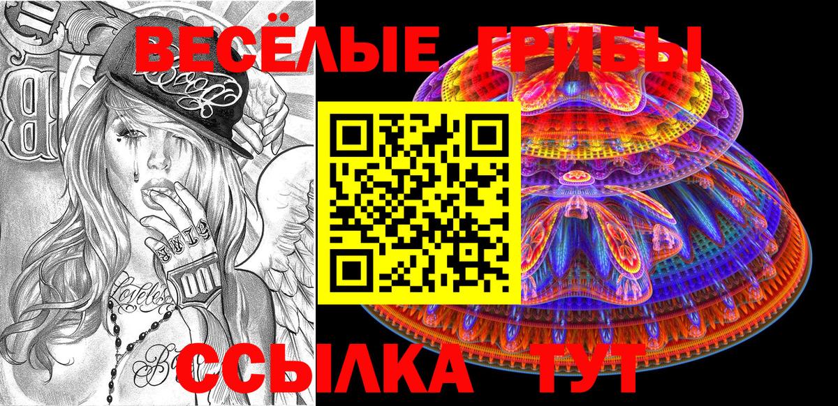Галлюциногенные грибы Magic Shrooms  Галлюциногенные грибы мицелий  Вход с VPN  Шадринск 