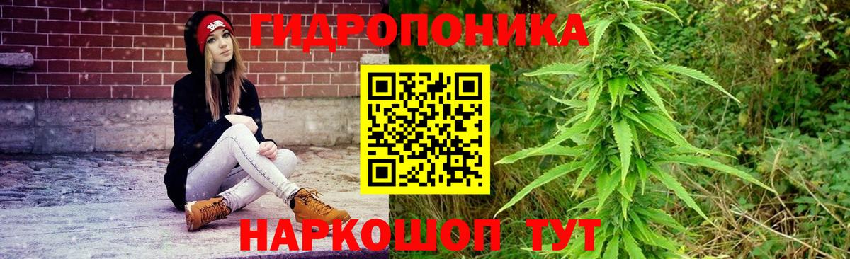 Шадринск  Бошки Шишки план  Вход с VPN  Бошки марихуана Amnesia  Бошки марихуана Bruce Banner  Бошки марихуана индика 